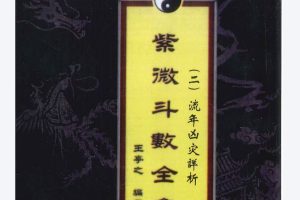 G22 香港王亭之大師的中州派紫微斗數上課教材用書一共6本 pdf